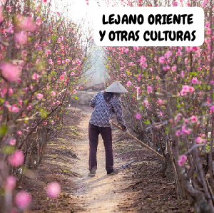 Lejano Oriente y otras culturas